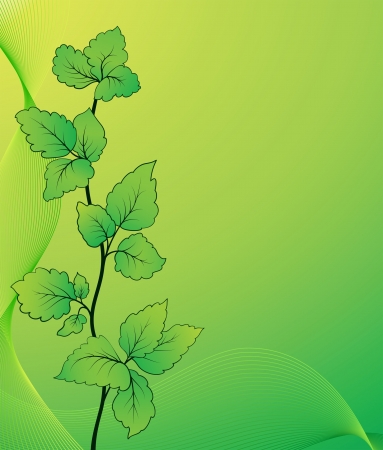Twig with green leaves, summer backgroundのイラスト素材