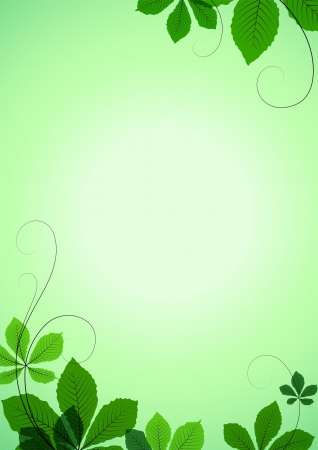 Summer background with green chestnut leavesのイラスト素材