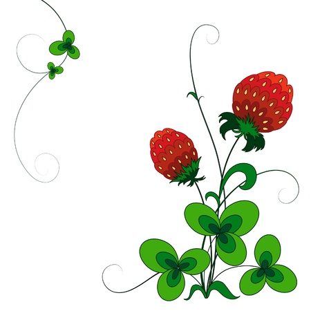 Decorative strawberry bush, isolated on whiteのイラスト素材