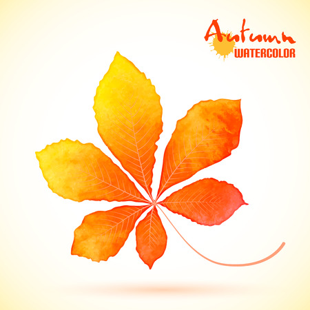 Yellow autumn chestnut leaf, watercolor botanical paintingのイラスト素材