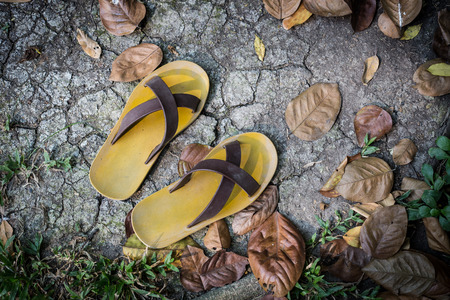 slipper on the groundの写真素材