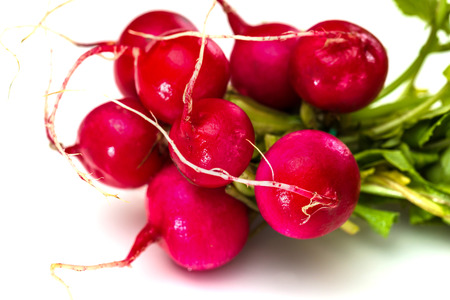 Bunch of fresh red radishes with green tops isolated on white backgroundの写真素材