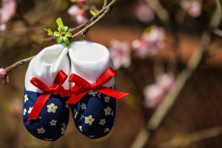 Baby slippers hanging on a branch of blossoming treeの写真素材