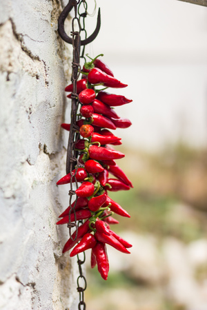 Red hot chili peppersの写真素材