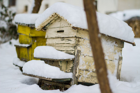 A pair of snow covered bee hives. Apiary in wintertime. Beehives covered with snow in wintertime....