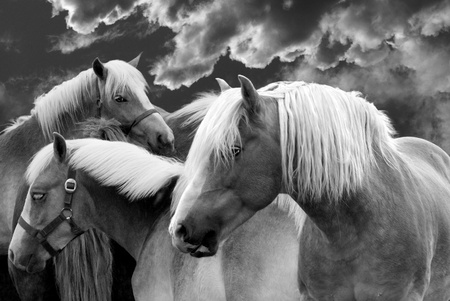 Dreamweaverの写真素材