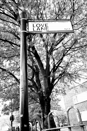 Love lane sign postの写真素材
