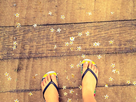 Flip flops on wood platform with small flowers scattered backgroundの素材