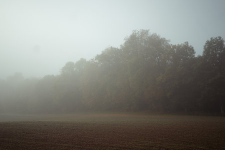 Foggy autumn morning in the field. Autumn landscape.の写真素材
