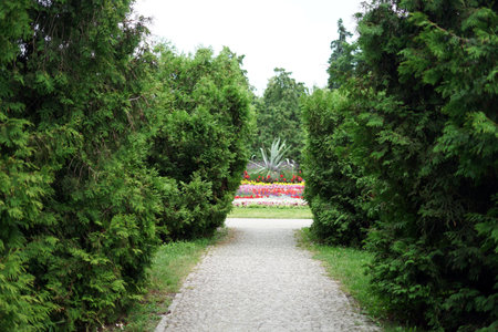 walkway in the park with green trees and flower beds in the backgroundの写真素材