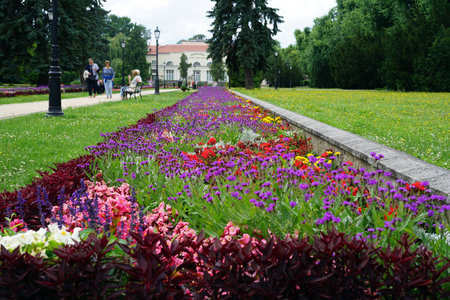 Flowerbed in the park of the city of Ciechocinek, Polandの写真素材