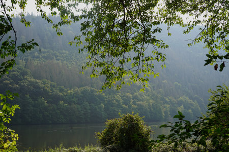 Beautiful view of the lake in the forest in the morning.の写真素材