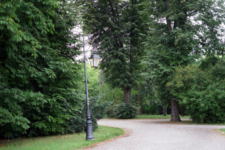 Park in the center of Ciechocinek, Poland Europe.の写真素材