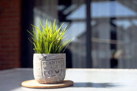 Green grass in a pot on a wooden table. Selective focus.の写真素材