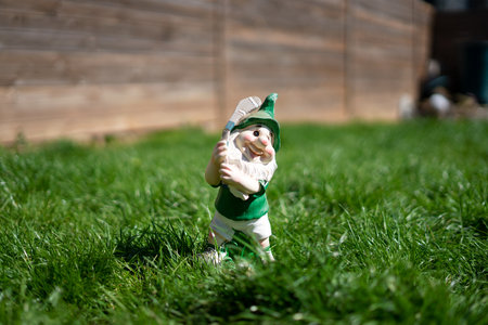 Garden gnome on green grass with wooden fence in the backgroundの写真素材
