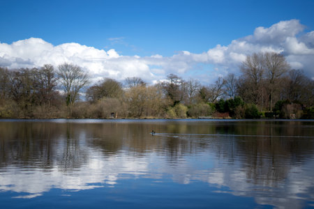 A view of a lake in the middle of the English countryside.の写真素材