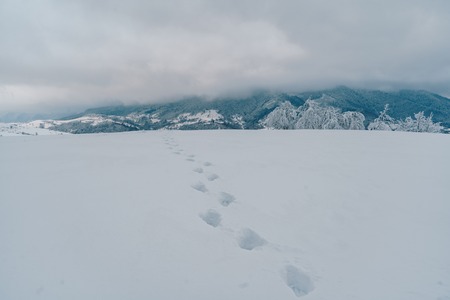 Footprints on the fresh snow in the mountains. Beautiful gloomy winter landscapeの写真素材