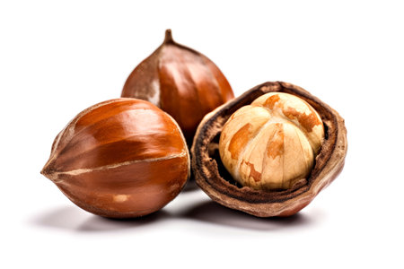 Hazelnuts isolated on white background.