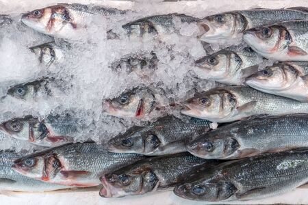 Fresh sea bass, Dicentrarchus labrax, on display on a UK fishmonger market stall