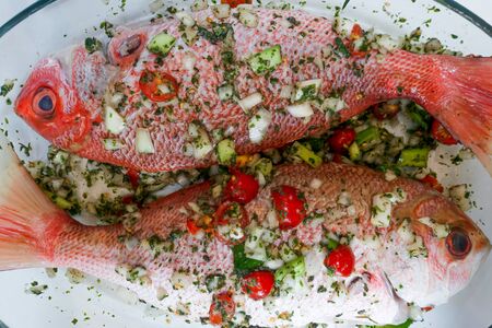 Two raw Red Snappers seasoned with onions, herbs and chilliesの写真素材