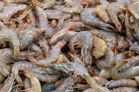 Pile of fresh prawns for sale in a UK fishmongersの写真素材