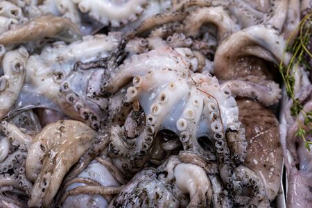 Pile of fresh Octopus for sale at a London fishmongers stallの写真素材
