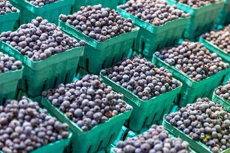 Fresh blueberries for sale on a farmers market stallの写真素材