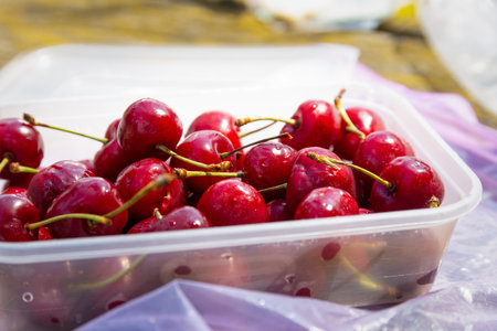 Container full of ripe, red, fresh cherries, freshly washed.の写真素材