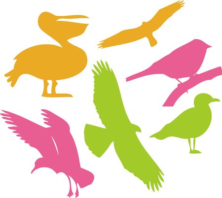Birds Vector Digital Clipart  1のイラスト素材