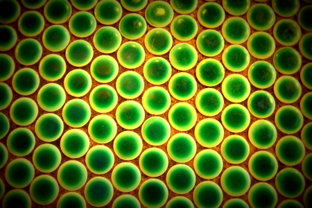 Green colour circle pattern on table top 