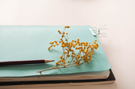 mocap for background stationery. notebooks and pencil and flower are on the table