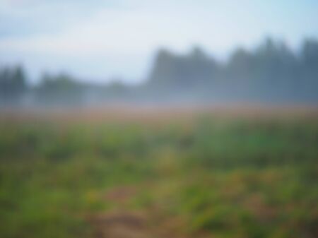 evening landscape with fog in a wild field with herbsの写真素材