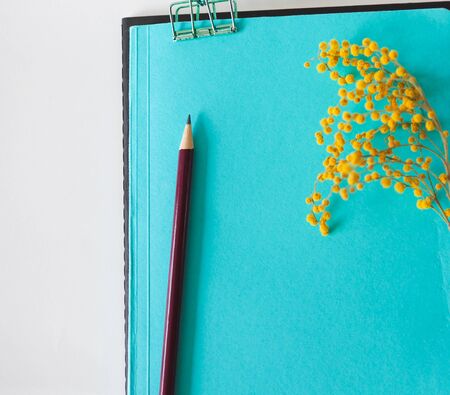 mocap for background stationery. notebooks and pencil and flower are on the tableの写真素材