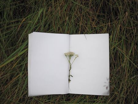 open an empty notebook on the background of grass and flowersの写真素材