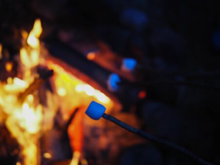tourist lit a fire at night and fried marshmallowの写真素材