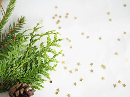 Christmas background. green spruce twigs with gold ribbon lie on a white backgroundの写真素材