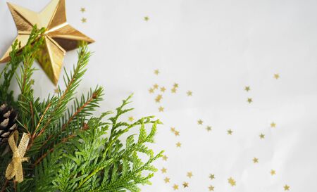Christmas background. green spruce twigs with gold ribbon lie on a white background