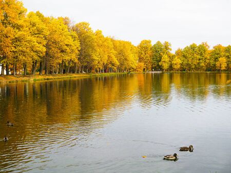 beautiful colorful autumn orange landscape with lakeの写真素材