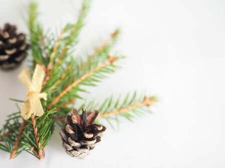 Christmas background. green spruce twigs with gold ribbon lie on a white backgroundの写真素材
