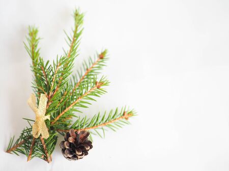 Christmas background. green spruce twigs with gold ribbon lie on a white backgroundの写真素材