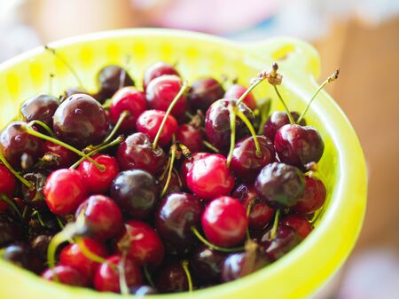 large bowl with ripe cherries summer treatの写真素材