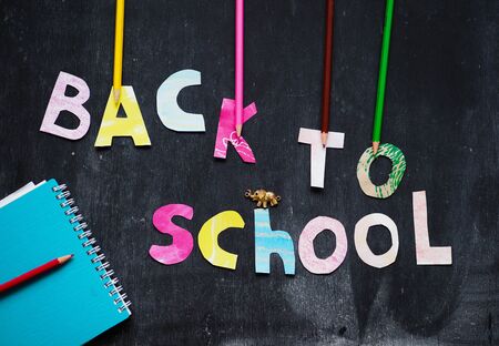 the writing paper back to school on chalk blackboard backgroundの写真素材