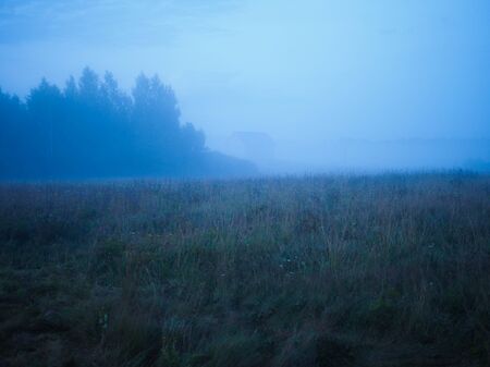 evening landscape with fog in a wild field with herbsの写真素材
