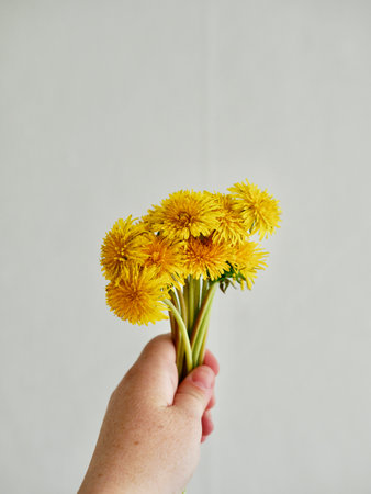 a bouquet of yellow dandelions flowers on a light background. templateの写真素材