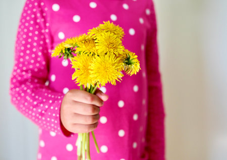 Little girl holding a bouquet of dandelions.Close up. High quality photoの写真素材