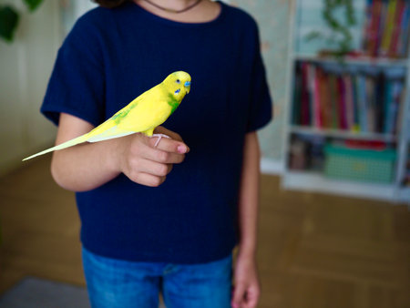 a yellow budgie sits on a girls hand at home. lovely pet