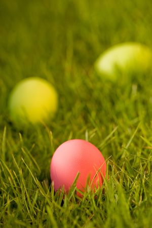 Easter Eggs On The Green Meadowの写真素材