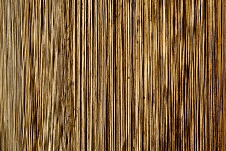 Old wooden texture. Background series.の写真素材