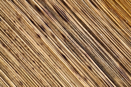 Dark wooden texture. Background series.の写真素材