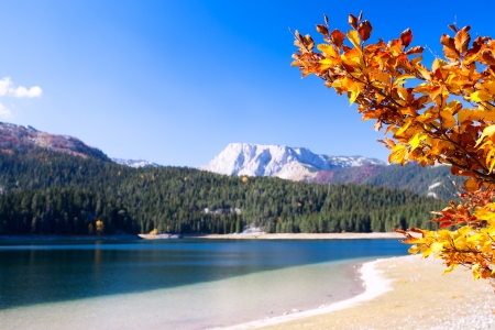 Lake with autumn tree in Durmitor National Park, Montenegroの写真素材
